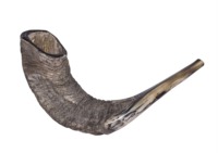 Shofar en corne de mouton polie de qualité supérieure, artisanat religieux naturel, instrument de musique, son étanche, vente en gros