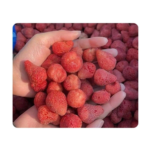 OFERTA LIMITADA Fresas Liofilizadas Hechas Exclusivamente para Catering de Eventos Especiales y un Dulce Nutritivo para Picnics de Fin de Semana - Product Image 5