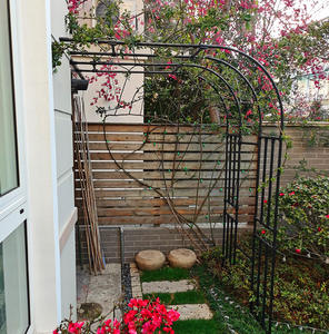 Supporto per Piante Rampicanti a Mezza Arco <span class=keywords><strong>da</strong></span> Pavimento, per Balcone e Giardino, per Clematidi, Uva e Rose, Struttura ad Arco Monofacciale - Product Image 4