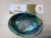 Kerang celup merah muda mengilap dekorasi aksen noda kerang/Paua Selandia Baru ibu kerang mutiara harga murah
