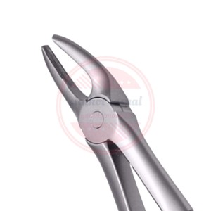 Fórceps de acero inoxidable para extracción de dientes 2024, Instrumentos dentales personalizados de alta calidad, fórceps dentales - Product Image 5