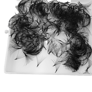 Extensions de cils pré-conçues en cheveux synthétiques 3D CC Curl Pro Made Wholesale Fans Premade Lash Fans - Product Image 1