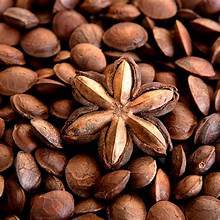 ACEITE PURO DE SACHA INCHI PRENSADO EN FRÍO ETIQUETA LIMPIA VEGANO RICO EN OMEGA TRES SEIS NUEVE PARA EL APOYO INMUNE Y EL BIENESTAR DEL CORAZÓN - Product Image 3