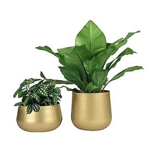 Macetas y macetas más vendidas, acabado decorativo para el hogar y la decoración de bodas, macetas de metal al precio más barato - Product Image 1