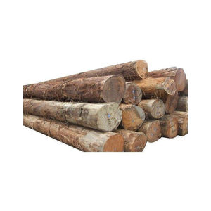 Bûches de hêtre massif directement de l'usine, mesurées sous la croûte pour un calcul précis du volume et un commerce transparent, commande en gros - Product Image 6