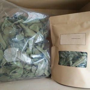 FEUILLES DE GOYAVE SÉCHÉES TOUT NATURELLES/POUR THÉS AUX HERBES ET SOINS DE BRICOLAGE/FABRIQUÉ AU VIETNAM - Product Image 3