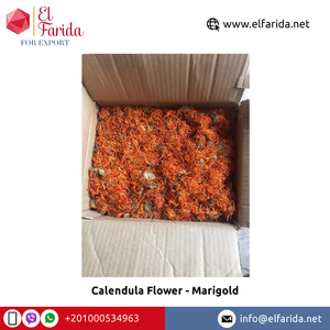 ดอกดาวเรืองสีส้มแห้ง-ดาวเรืองจำนวนมากพร้อมบรรจุภัณฑ์ถุง PP สำหรับคริสต์มาส - Product Image 2