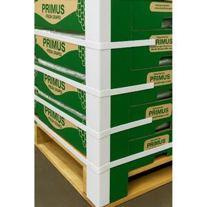 Profilé d'angle extrudé en PVC rigide de qualité supérieure en forme de L avec une forme de 38 mm pour la protection des murs, des plafonds et des bords de panneaux, provenant d'Inde - Product Image 3