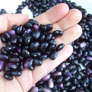 Frijoles Negros Pequeños/Grandes de Calidad de Exportación |   100% Puro, Limpio, de Primera Calidad, Orgánico, Ligero, con Puntos, Almacenado en Seco, 24 Días de Duración - Product Image 2