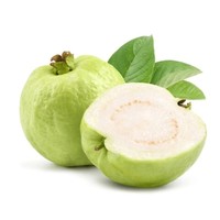 Wild Organic Guava Fruit Extract Poeder Voedingsmiddelkwaliteit voor Supplementen & Dranken Siammit Merk Groothandel Export Leverancier Uit Thailand