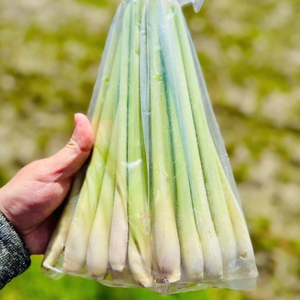 IQF Frozen Lemongrass High-Quality, Fresh Lemongrass Slices and Mince for Soup, Curry, and Hotpot - Product Image 1