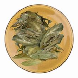 Hojas de Guanábana más secas, naturales, recién recogidas por pedido, cortadas y cambiadas - Product Image 5