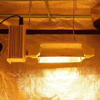 Lampe de croissance à double extrémité de 1000W pour lampe DE HPS avec ballast électronique pour rose ou légumes biologiques en serre