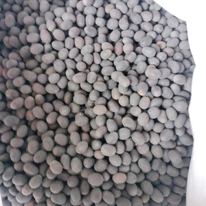 Graines de lotus séchées d'origine vietnamienne de qualité supérieure, fourniture en gros d'exportation en vrac avec une qualité fiable et des prix d'usine directs abordables - Product Image 1