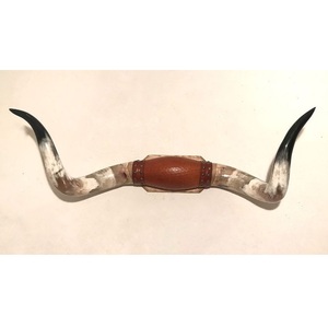 ของตกแต่งผนังทำจากเขาควายแบบวินเทจ คู่เขาควายอินเดีย - Product Image 1