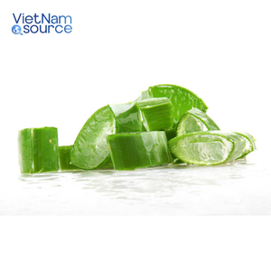 Top 1 des meilleurs Aloe Vera du Vietnam-Cueilli à la main pour une pureté maximale-Apaiser nourrir et briller naturellement Aloe Vera Source agricole - Product Image 2