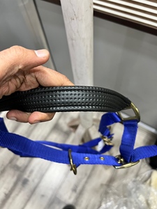 Cabestro para Caballo de Primera Calidad en Polipropileno con Almohadilla de Neopreno Disponible en Color Personalizado de Exportación India - Product Image 6