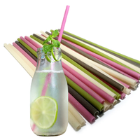 Pailles comestibles en fibre végétale de 6,5 mm, biodégradables et durables, pour bubble tea/smoothies/jus/shakes, idéales pour hôtels, bars, restaurants et usage domestique.