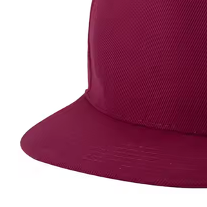 Meilleur matériel Snapback Hats Top Manufacturer Snapback Hats Factory Rate Snapback Hats - Product Image 6