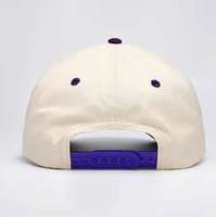 OEM ODM 3D bordir Logo topi bisbol dua warna 5 Panel berstruktur Gorras topi Puff bordir topi Snapback topi olahraga luar ruangan
