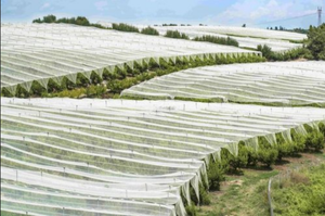 Tissu non tissé pour le contrôle des mauvaises herbes en agriculture, haute résistance à la traction, extra large, matériel de jardinage - Product Image 4