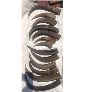 Puntas de cuerno de búfalo crudo de alta calidad, cuchillo, artesanías naturales hechas a mano, buenas de MooN Rise craft - Product Image 2