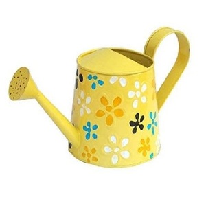 Arrosoir rond en métal sans rouille jardinière élégant décor à la maison outil de jardinage cadeau - Product Image 5