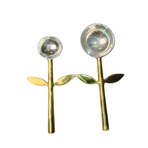 การแสดงภาพ