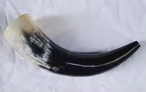 แตรเป่าธรรมชาติคุณภาพสูงและแตรเป่าด้วยงานฝีมือเสี้ยว - Product Image 4