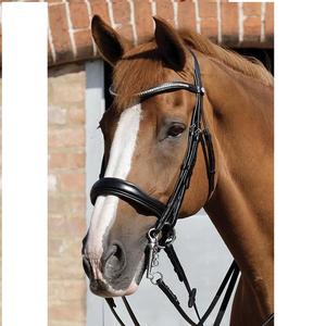 Bride en cuir pour chevaux Design personnalisé Prix bon marché Vente en gros Bride en cuir pour chevaux en cuir véritable de haute qualité 2019 - Product Image 3