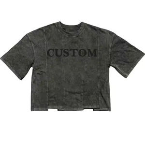 Camiseta de Algodón Transpirable de Secado Rápido con Logotipo Frontal, Estilo Urbano, Corte Holgado, Dobladillo Cóncavo, Personalizada de Alta Calidad 2024, 250 GSM - Product Image 1