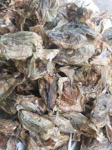 Pescado Congelado de Primera Calidad con Almacenamiento IQF y 12 Meses de Vida Útil - Product Image 5