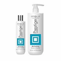 Champú Profesional Erreelle Prestige 300ml 1000ml 2 en 1, Fórmula Refrescante, Tratamiento para Cuero Cabelludo Seco, para Todo Tipo de Cabello, Unisex