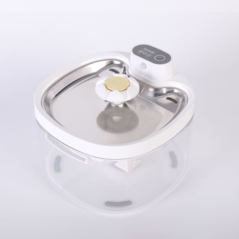 โปร่งใส