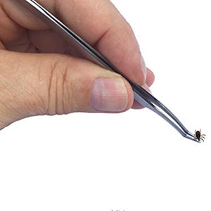 ชุดเครื่องมือกำจัดเห็บสแตนเลสคุณภาพสูง ผลิตในปากีสถาน สำหรับแมวและสุนัข - Product Image 5