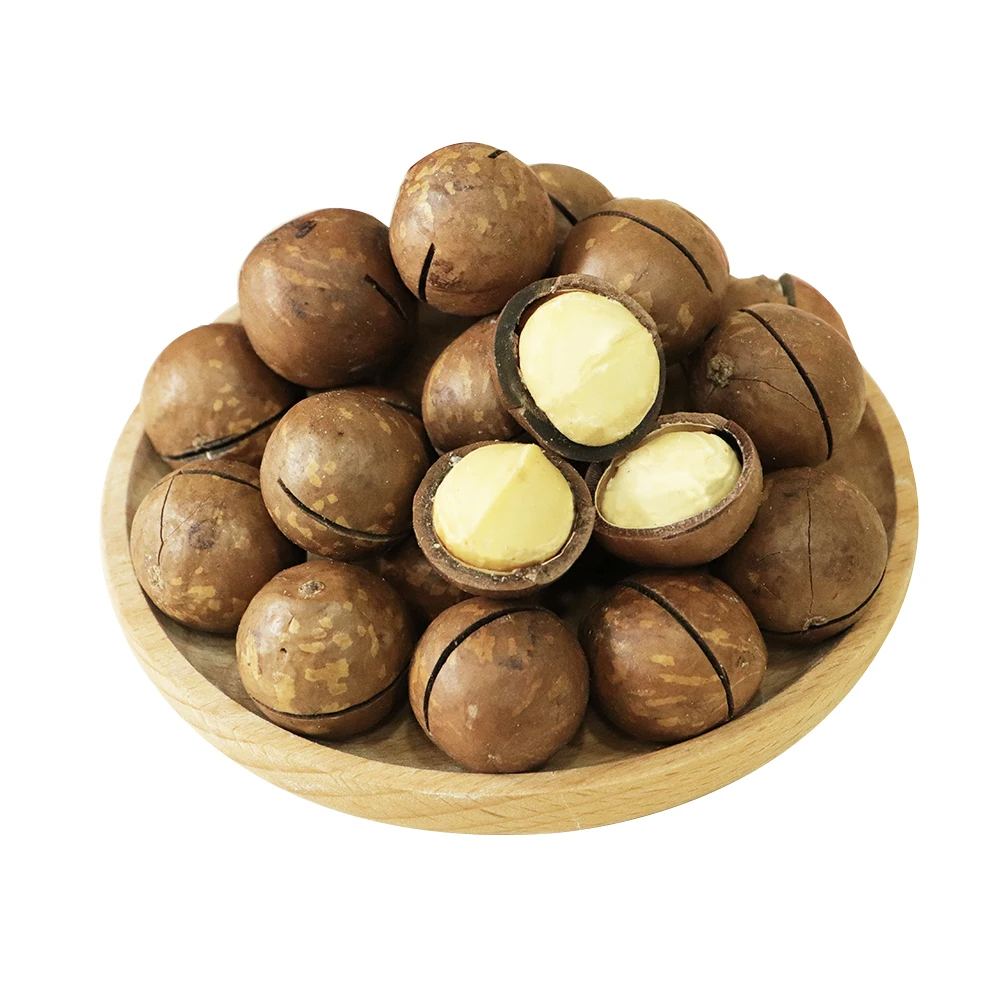 For Sale Macadamia Without Shell Premium Grade Macadamia Nuts Salted Roasted Nuts Healthy Food Private Label Ready to Eat
