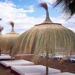 Top-Quality Seagrass Thatch Roof: Perfect for African-Style Homes and Beach Huts, Exported From Vietnam - Product Image 5