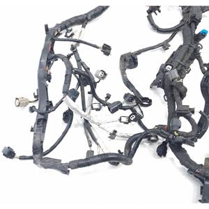 Cablaggio Motore FORD EcoSport Serie JN15-12C508-BE SFJL Benzina 1000 (12>) - Product Image 4