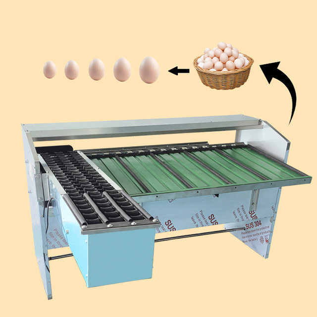 Intelligent Control Egg Sorting Grading Machine Multiple Size Options 304 Stainless Steel Accurate Temperature Control for