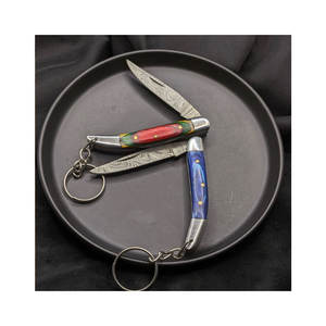 Personalización de acero de Damasco Mini cuchillo de bolsillo llavero plegable nuevo estilo al aire libre Camping cuchillo de bolsillo plegable llavero - Product Image 1