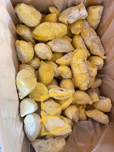 Durian surgelé, pulpe surgelée de qualité supérieure pour la boulangerie, la crème glacée, les desserts et les marchés de la cuisine asiatique de spécialité - Product Image 6