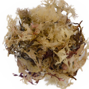 {LOS MEJORES PRODUCTOS DE 2025} CALIDAD PREMIUM Y POPULAR EN ASIA (VIETNAM) APOYAN SU SALUD - Product Image 6