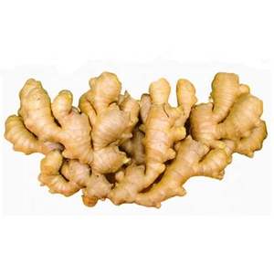 Jengibre Fresco Orgánico al por Mayor, Origen Estadounidense, Listo para Consumir - Product Image 2