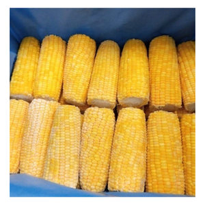 Granos de maíz congelados de primera calidad, MAÍZ AMARILLO, MAÍZ DULCE CONGELADO LISTO PARA EXPORTAR, Maíz glutinoso congelado IQF - Product Image 1