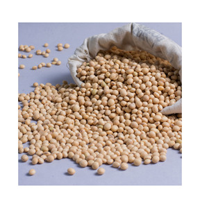 Organique OGM Jaune Soja Frais En Vrac Séché Fèves De Soja Dans Des Sacs Pour La Cuisson-Vente en Gros - Product Image 1