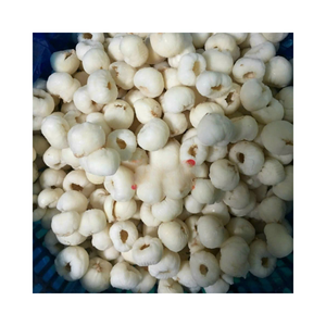 Frozen Lychee Bulk Supply from Vietnam Premium <b>Sweet</b> Tropical Fruit for Export Wholesale <b>Packaging</b> at Cheap Price Rate - Product Image 6
