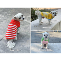 Luxe 13 couleurs rayé chien pull à capuche léger tricot or détail personnalisé tenue pour animaux de compagnie écologique 100% coton printemps