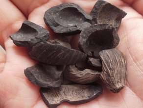 Combustible de biomasa de alto poder calorífico para calderas industriales, compatible con la UE, listo para exportar - Product Image 2