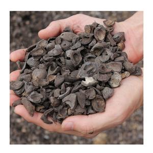 Acheter une coquille de palmiste à partir de déchets agricoles - Product Image 5