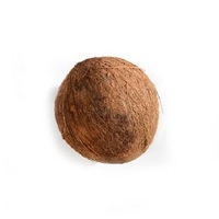 Leverancier Tropisch Fruit Verse Kokosnoot Topkwaliteit Half-Gepeld Uit Yala Thailand
